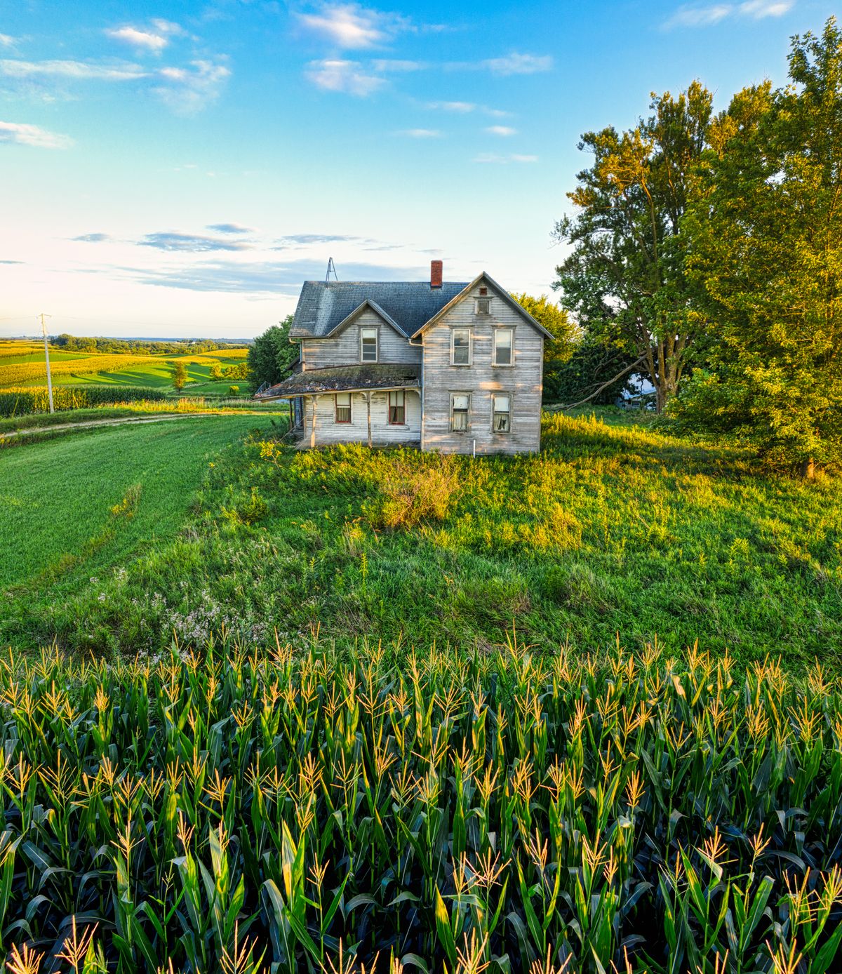 A farmhouse surrounded by open green land